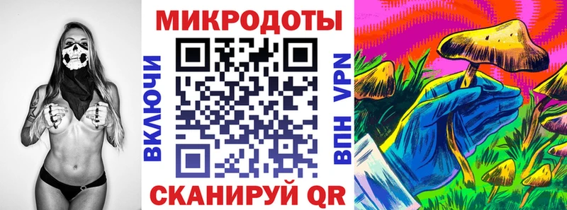 цена наркотик  Сальск  Галлюциногенные грибы прущие грибы 